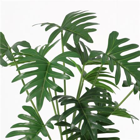 ต้นซานาดูประดิษฐ์ SPRING 63 ซม._2