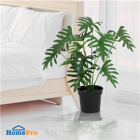 ต้นซานาดูประดิษฐ์ SPRING 63 ซม._4