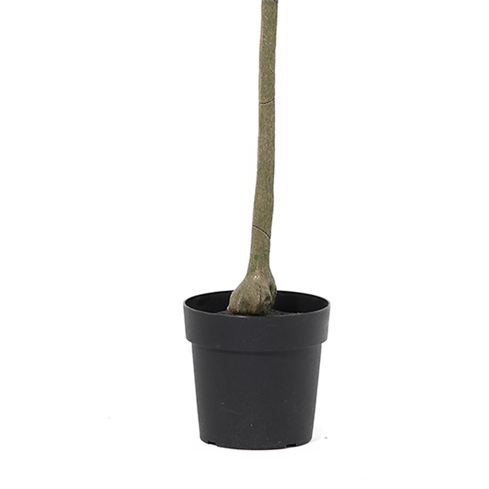 ต้นมะกอกโอลีฟประดิษฐ์ SPRING 169 ซม.