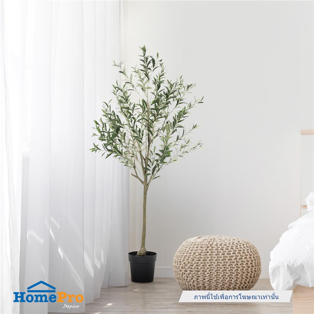 ต้นมะกอกโอลีฟประดิษฐ์ SPRING 169 ซม.