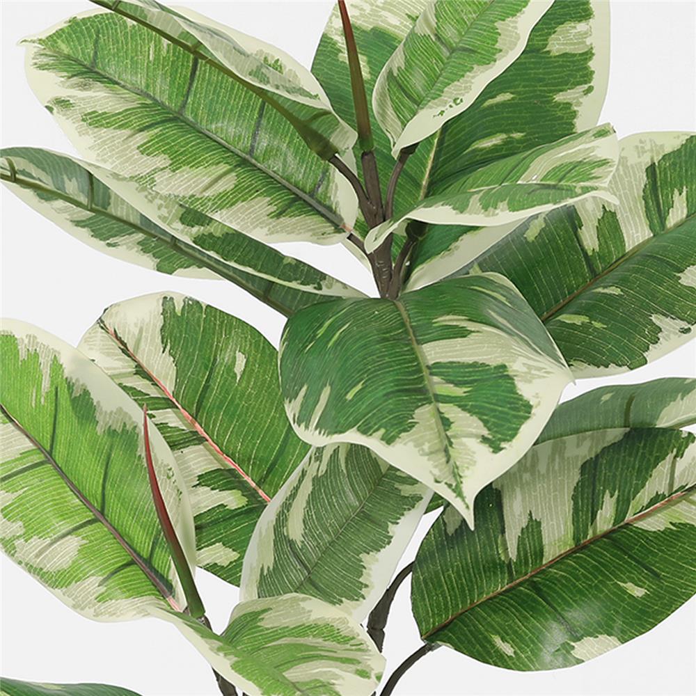 ต้นยางอินเดียด่างขาวประดิษฐ์ SPRING 50 ซม.