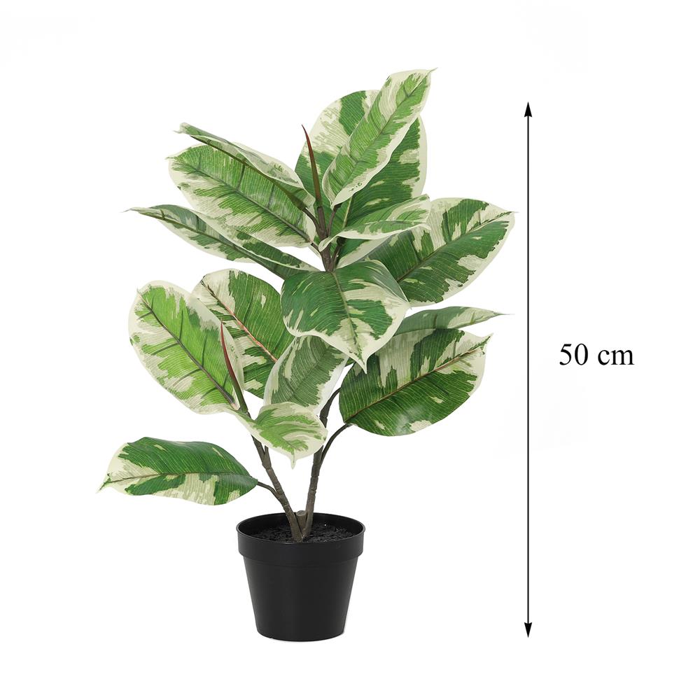 ต้นยางอินเดียด่างขาวประดิษฐ์ SPRING 50 ซม.