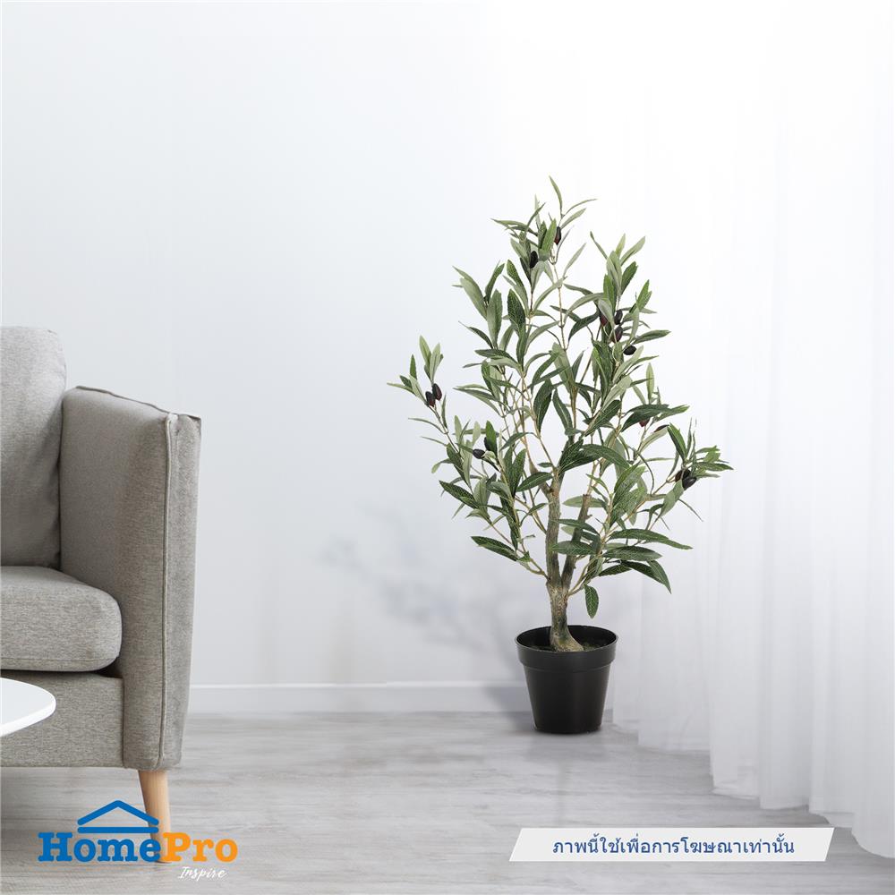 ต้นมะกอกโอลีฟประดิษฐ์ SPRING 67 ซม.
