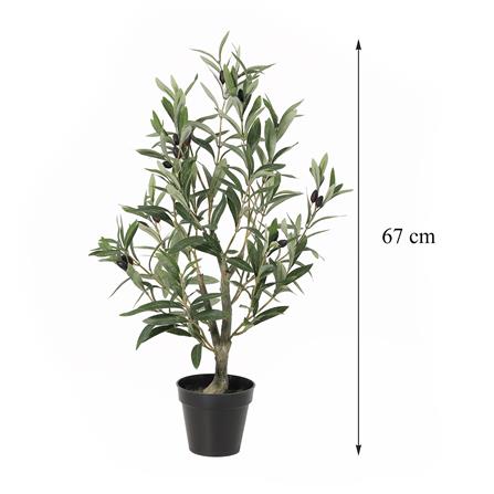 ต้นมะกอกโอลีฟประดิษฐ์ SPRING 67 ซม._5