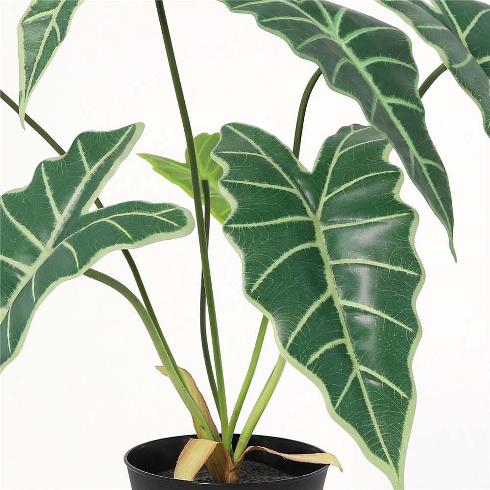 ต้นแก้วสารพัดนึกประดิษฐ์ SPRING 58 ซม.