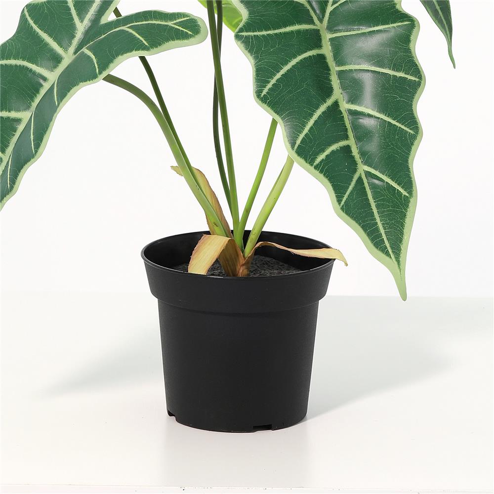 ต้นแก้วสารพัดนึกประดิษฐ์ SPRING 58 ซม.