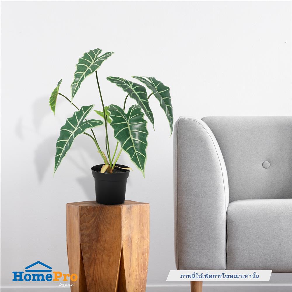 ต้นแก้วสารพัดนึกประดิษฐ์ SPRING 58 ซม.