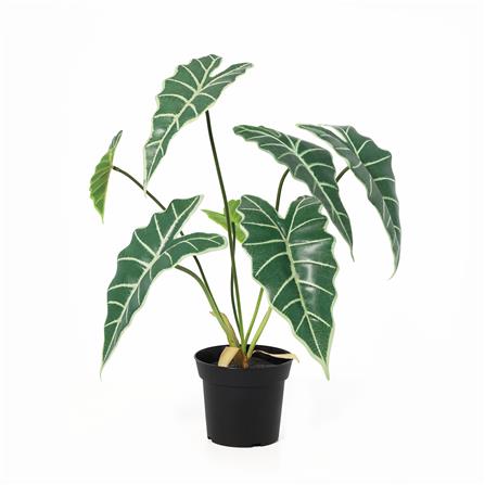 ต้นแก้วสารพัดนึกประดิษฐ์ SPRING 58 ซม._0