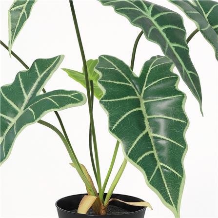 ต้นแก้วสารพัดนึกประดิษฐ์ SPRING 58 ซม._2