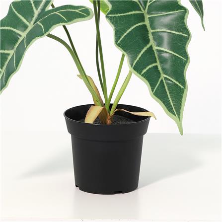 ต้นแก้วสารพัดนึกประดิษฐ์ SPRING 58 ซม._3