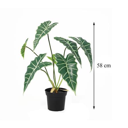 ต้นแก้วสารพัดนึกประดิษฐ์ SPRING 58 ซม._5