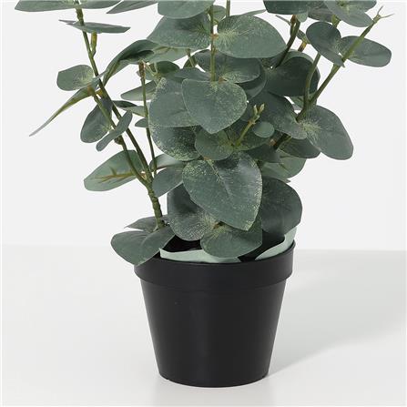 ต้นยูคาลิปตัสประดิษฐ์ SPRING 46 ซม._3