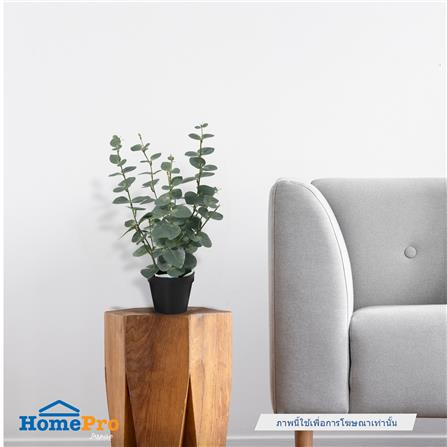ต้นยูคาลิปตัสประดิษฐ์ SPRING 46 ซม._4