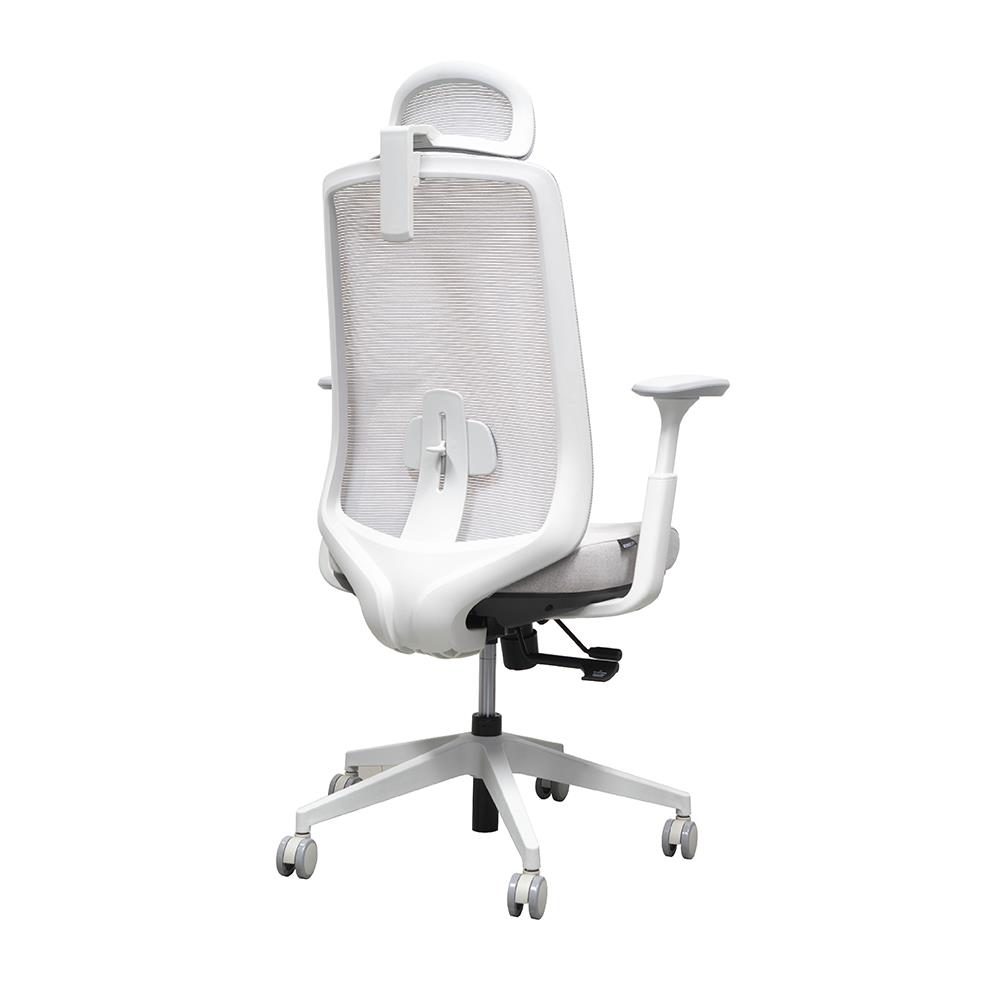 เก้าอี้สุขภาพ WORKSCAPE GEMINI WCH-00049 สีเทา