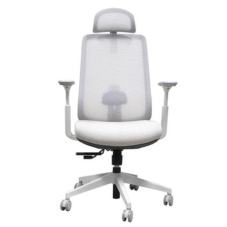 เก้าอี้สุขภาพ WORKSCAPE GEMINI WCH-00049 สีเทา_1