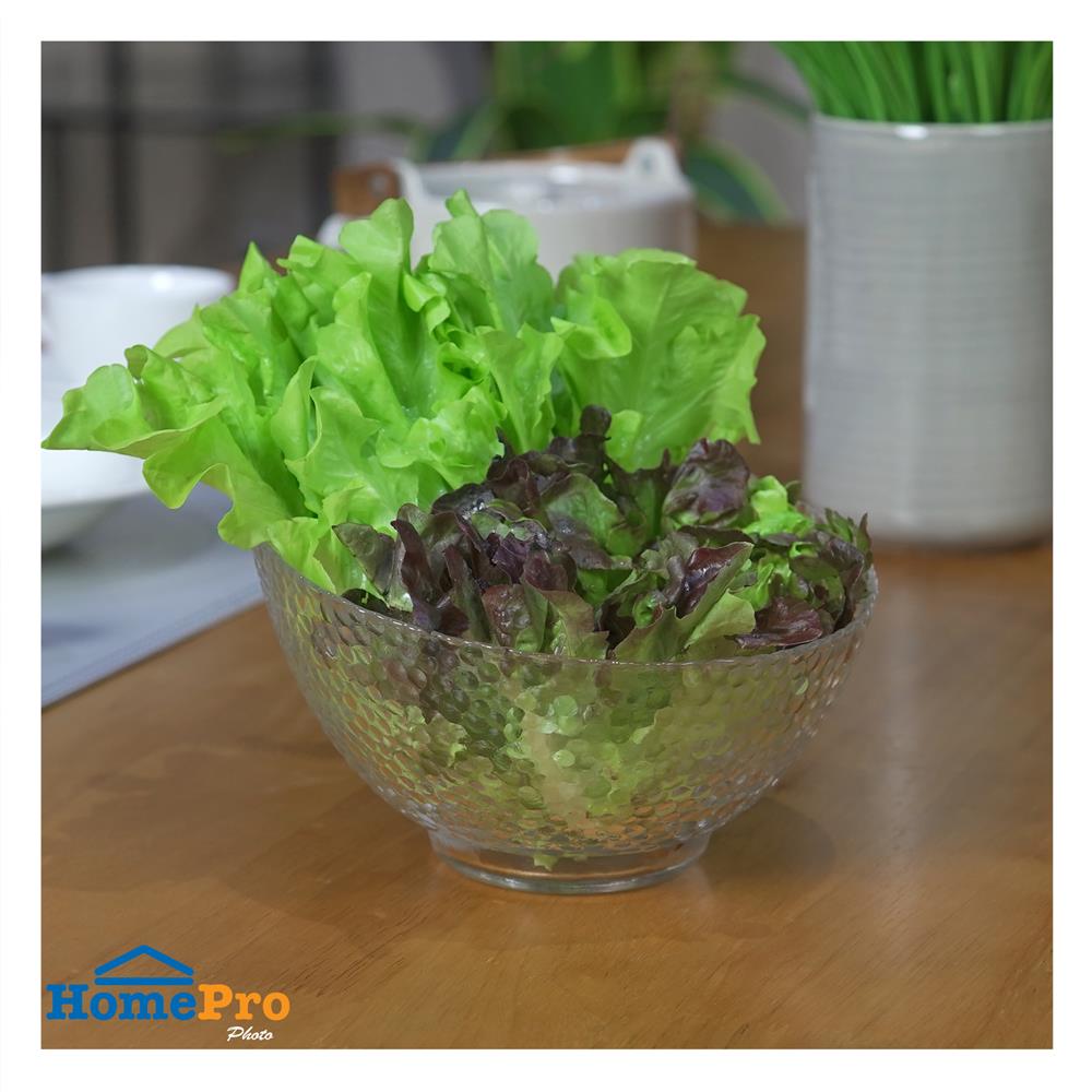 ชามแก้ว 6 นิ้ว KECH DOTT