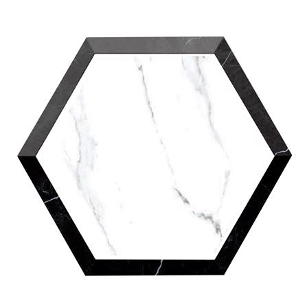 กระเบื้องพื้นพอร์ซเลน 22x26 ซม. TARA อลิสตันแบล็คบอเดอร์ ขาว_0