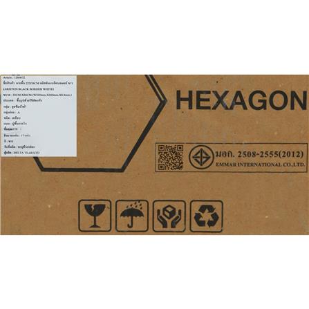 กระเบื้องพื้นพอร์ซเลน 22x26 ซม. TARA อลิสตันแบล็คบอเดอร์ ขาว_1