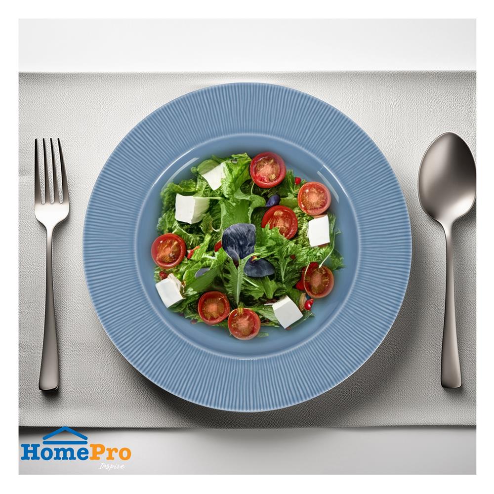 จานตื้น FINE PORCELAIN 10 นิ้ว KECH NEO SILK BABY DENIM