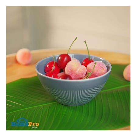 ชาม FINE PORCELAIN 5 นิ้ว KECH NEO SILK BABY DENIM_4