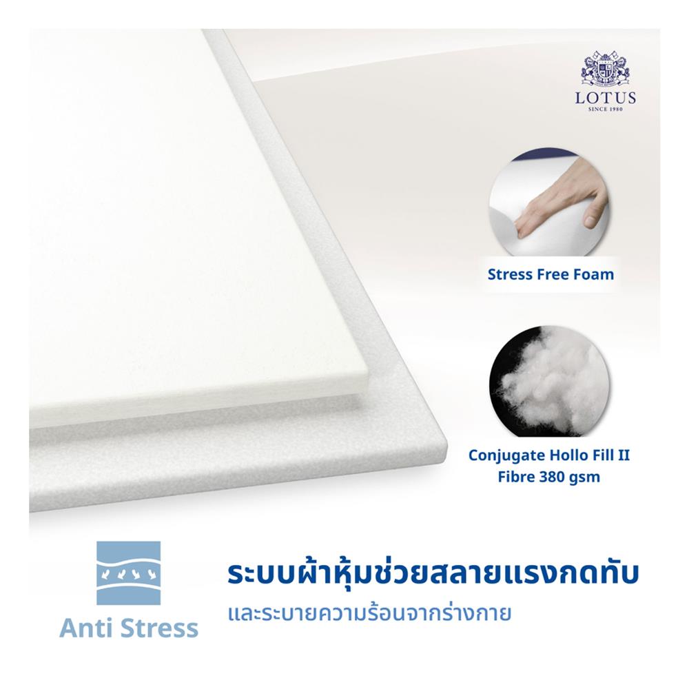 ที่นอน 6 ฟุต LOTUS LUKE พร้อมหมอนหนุน 2 ใบ