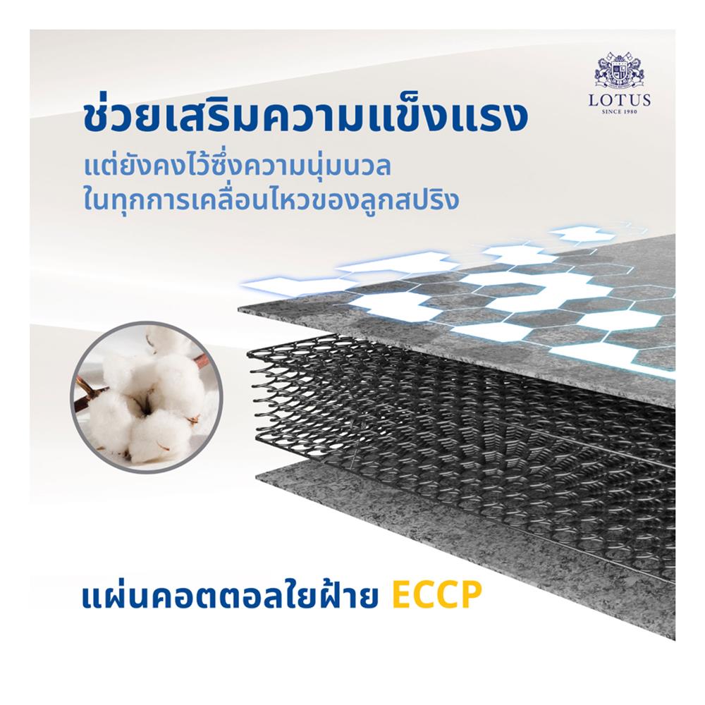 ที่นอน 6 ฟุต LOTUS LUKE พร้อมหมอนหนุน 2 ใบ