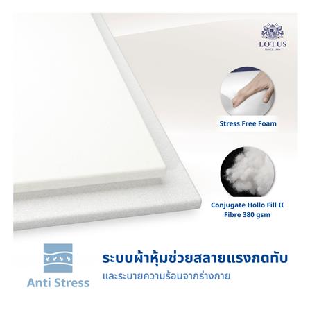 ที่นอน 6 ฟุต LOTUS LUKE พร้อมหมอนหนุน 2 ใบ_10