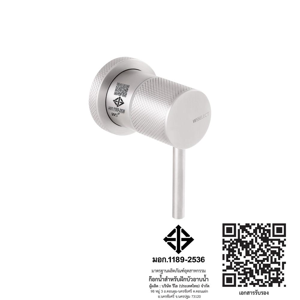 วาล์วฝังกำแพง WS WSS-2010