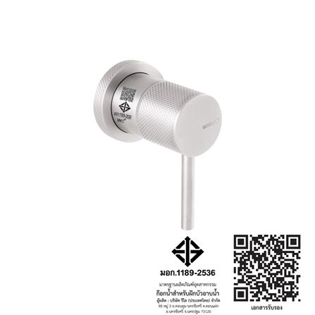 วาล์วฝังกำแพง WS WSS-2010_2