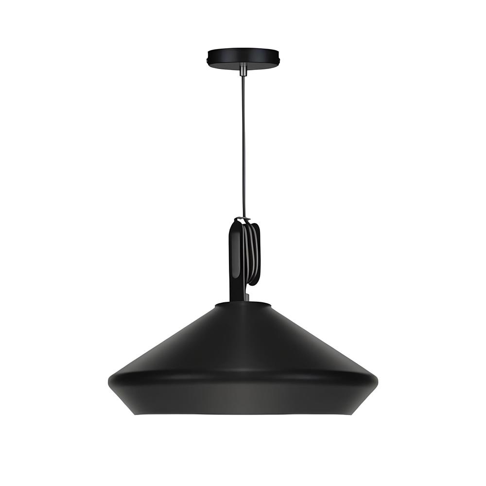 ไฟช่อ L&E 01-02950 สีดำ 1 หัว