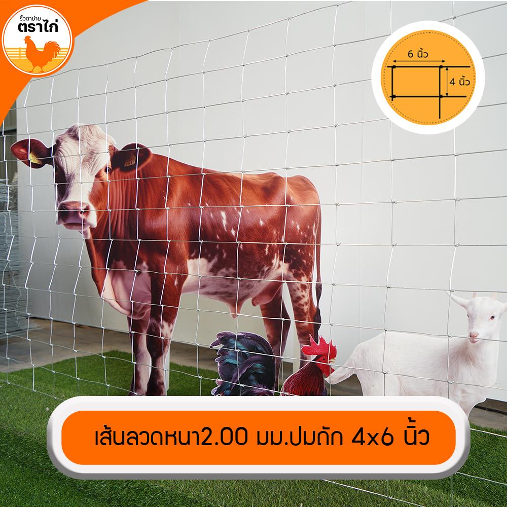 รั้วตาข่าย ตราไก่ ช่องตาถี่ 4X6 นิ้ว 1.2X30 ม.