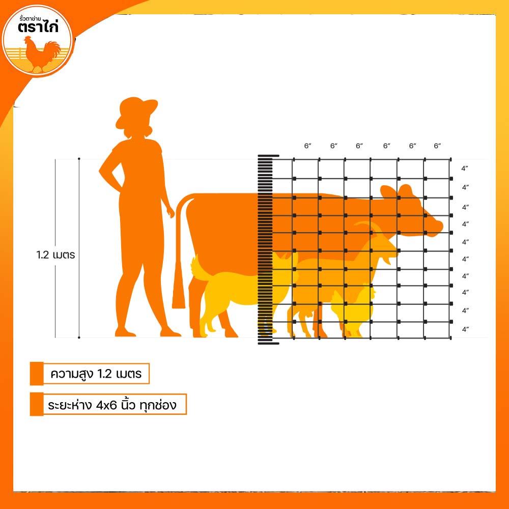 รั้วตาข่าย ตราไก่ ช่องตาถี่ 4X6 นิ้ว 1.2X30 ม.