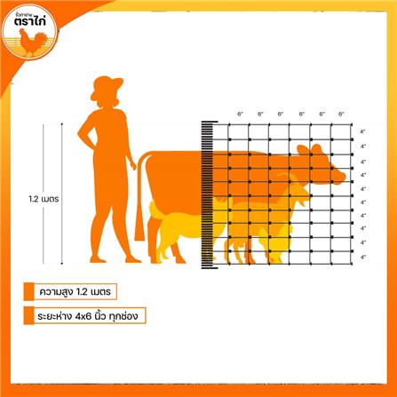 รั้วตาข่าย ตราไก่ ช่องตาถี่ 4X6 นิ้ว 1.2X30 ม._8