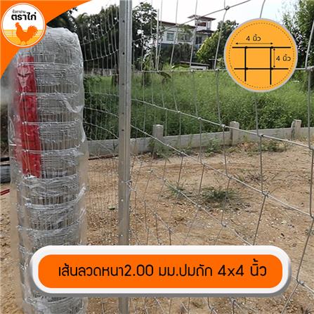 รั้วตาข่าย ตราไก่ ช่องตาถี่ 4X4 นิ้ว 1.5X30 ม._5