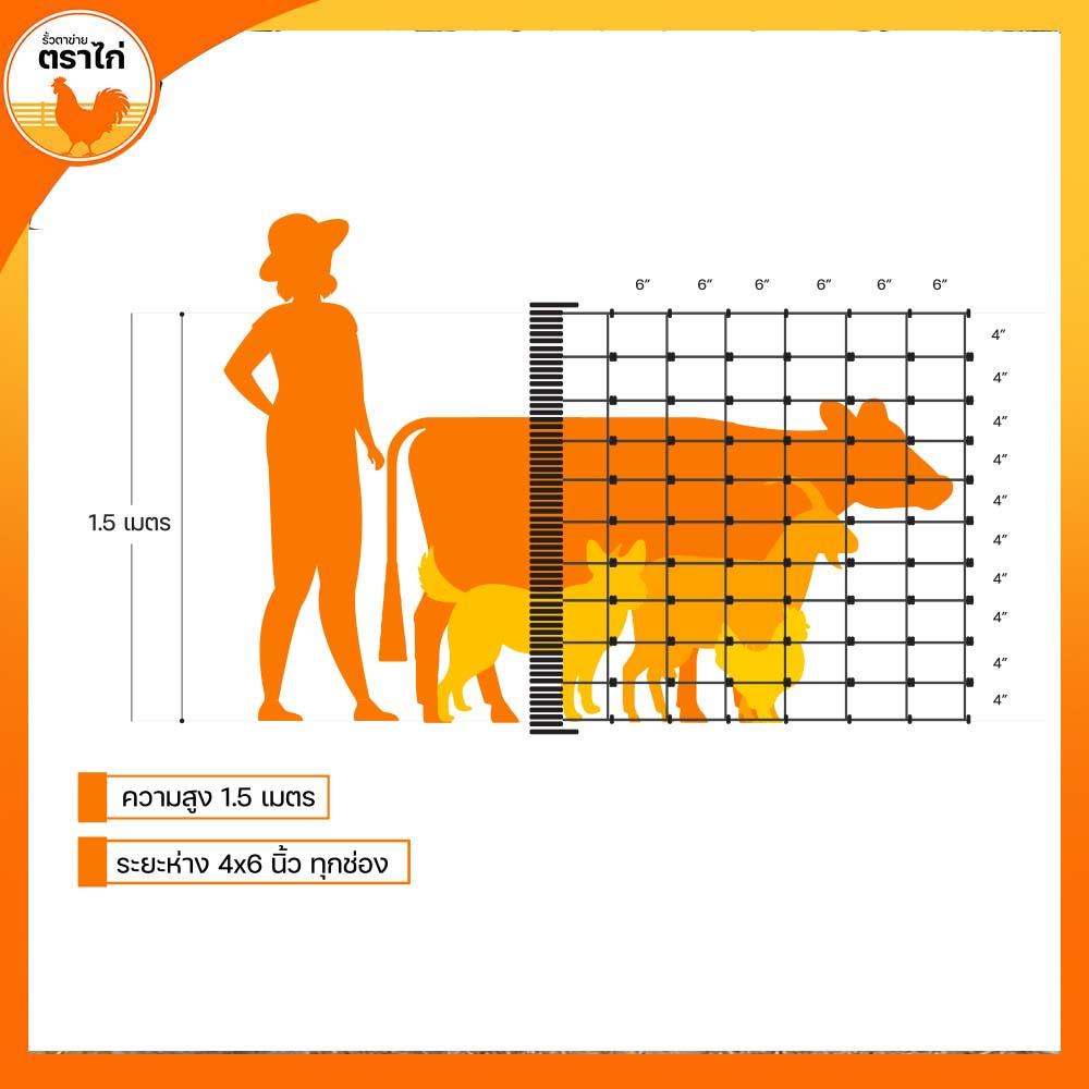 รั้วตาข่าย ตราไก่ ช่องตาถี่ 4X6 นิ้ว 1.5X30 ม.