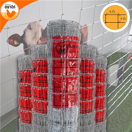 รั้วตาข่าย ตราไก่ ช่องตาถี่ 4X6 นิ้ว 1.5X30 ม._9