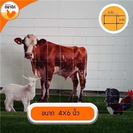 รั้วตาข่าย ตราไก่ ช่องตาถี่ 4X6 นิ้ว 1.5X30 ม._7