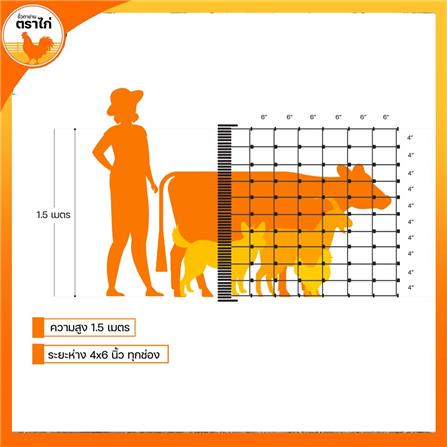 รั้วตาข่าย ตราไก่ ช่องตาถี่ 4X6 นิ้ว 1.5X30 ม._8