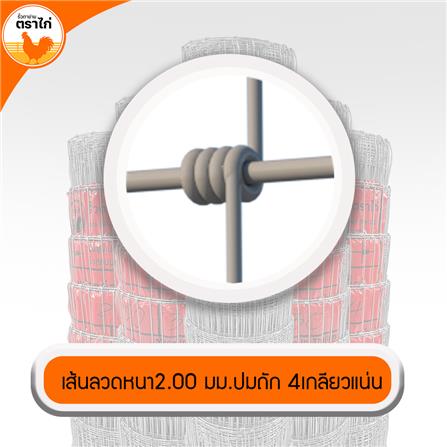 รั้วตาข่าย ตราไก่ ช่องตาถี่ 4X4 นิ้ว 1.2X30 ม._4
