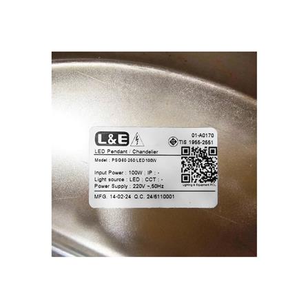 ไฟช่อ LED L&E 01-A0170 100 วัตต์ WARM WHITE สีเงิน 1 หัว_4