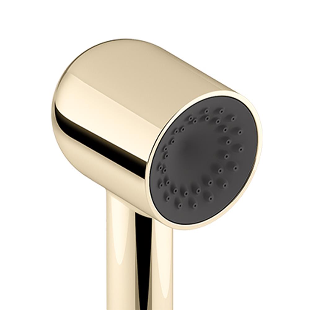 หัวฝักบัวสายอ่อน KOHLER K-26286T-G-AF สีทอง