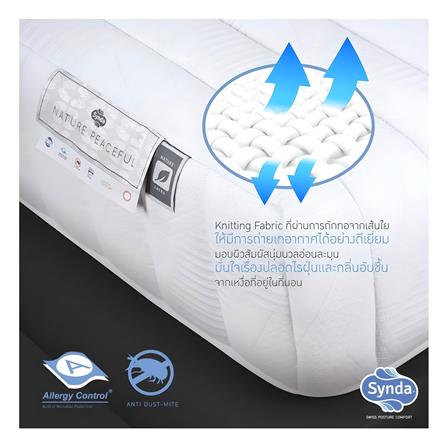ที่นอน 3.5 ฟุต SYNDA NATURE PEACEFUL_7