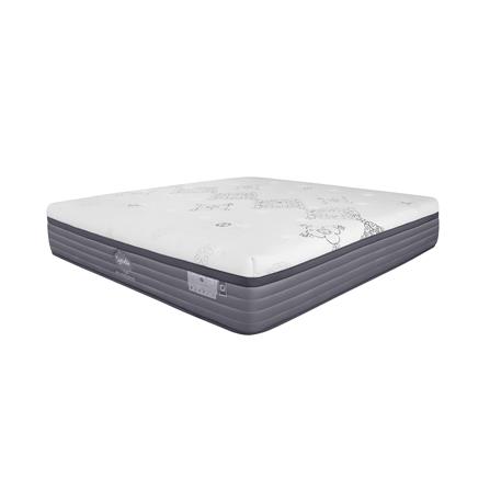 ที่นอน 5 ฟุต SYNDA TITANIUM_0