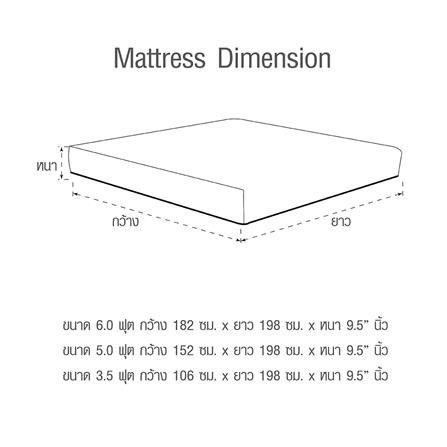 ที่นอน 6 ฟุต HOME LIVING STYLE ABLEII_6