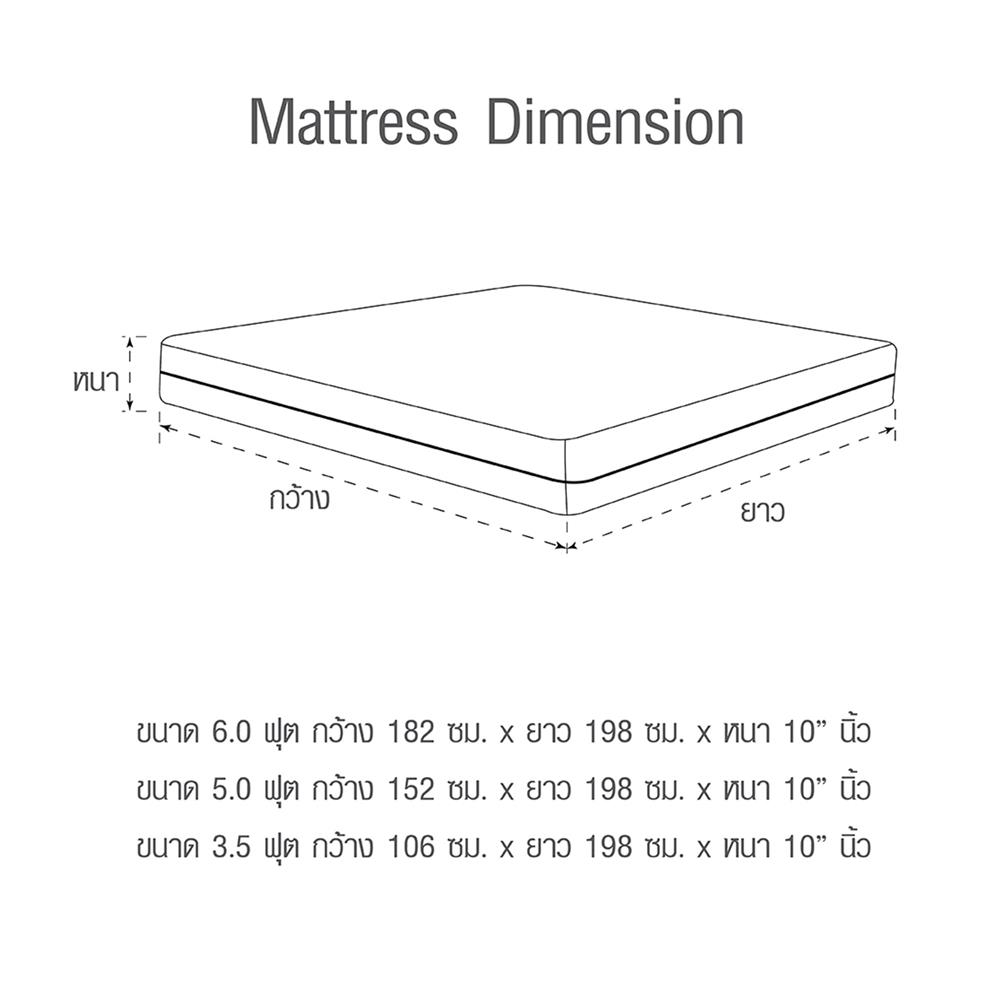 ที่นอน 5 ฟุต HOME LIVING STYLE MICHIGAN