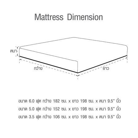 ที่นอน 6 ฟุต HOME LIVING STYLE DAVINCHI_7
