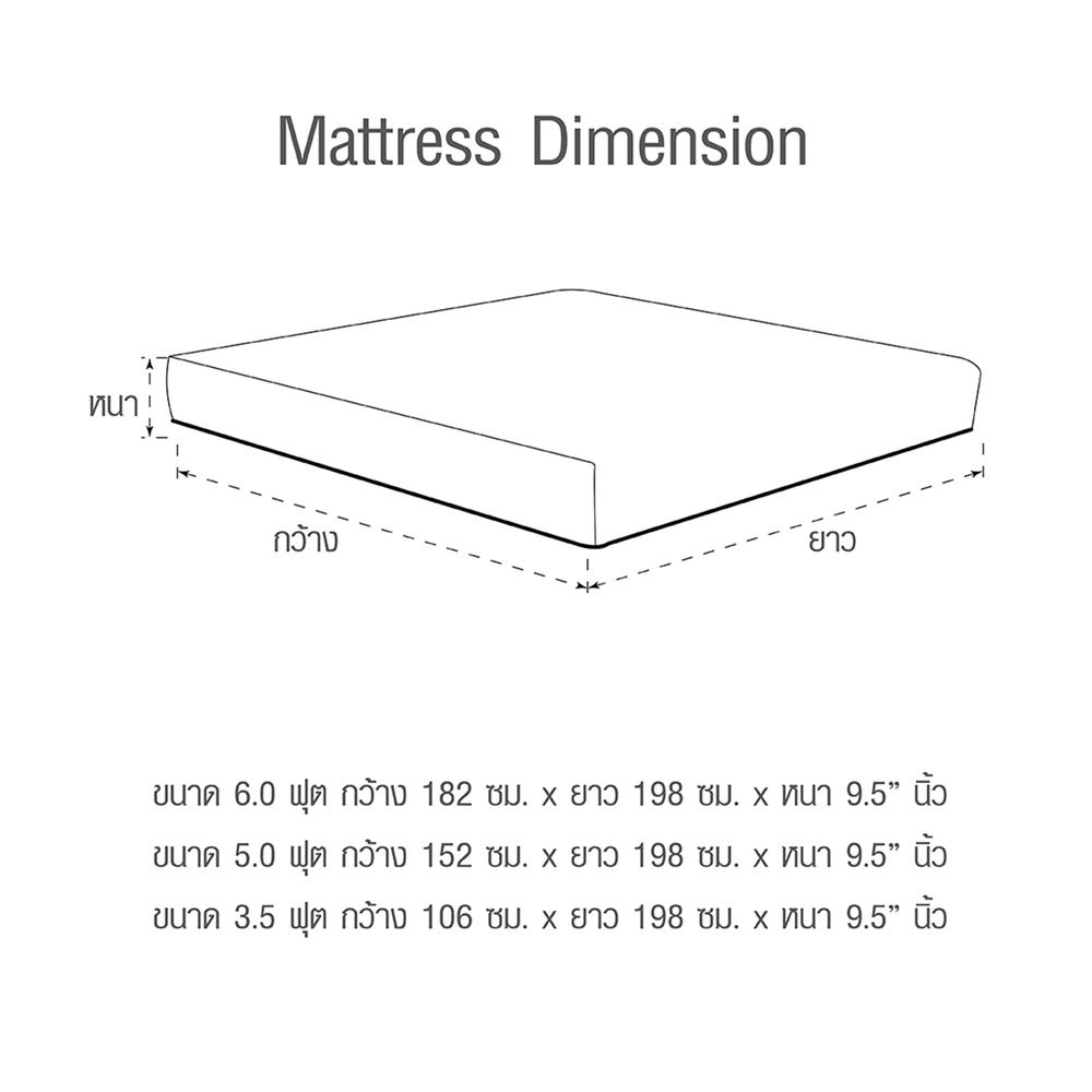ที่นอน 5 ฟุต HOME LIVING STYLE ABLEII