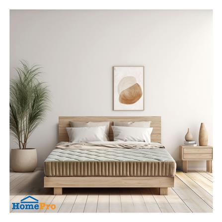 ที่นอน 5 ฟุต HOME LIVING STYLE ABLEII_3