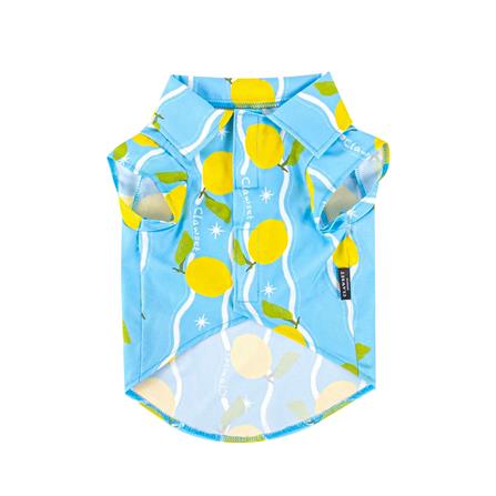 เสื้อสัตว์เลี้ยง CLAWSET SHIRT LEMON ไซซ์ 12 สีฟ้า_0