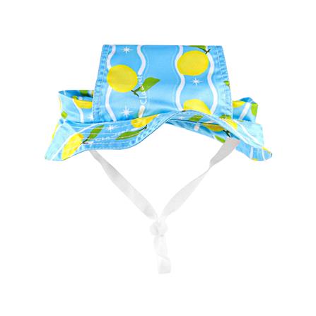 หมวกสัตว์เลี้ยง CLAWSET LEMON ไซซ์ M สีฟ้า_0